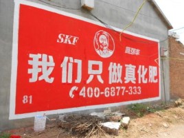 汉阴刷墙广告”蕴含了时代命题