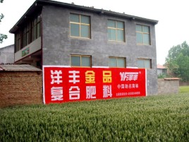汉阴如何让墙体广告展现最大化效果